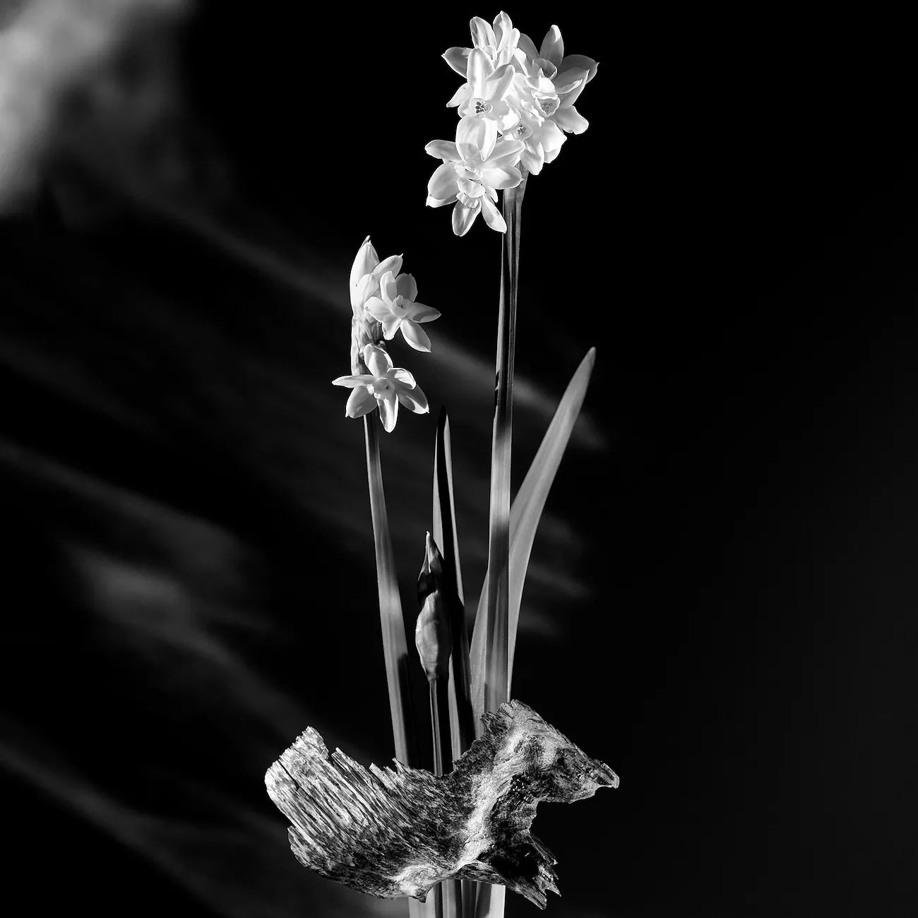Parfum Matière Noire