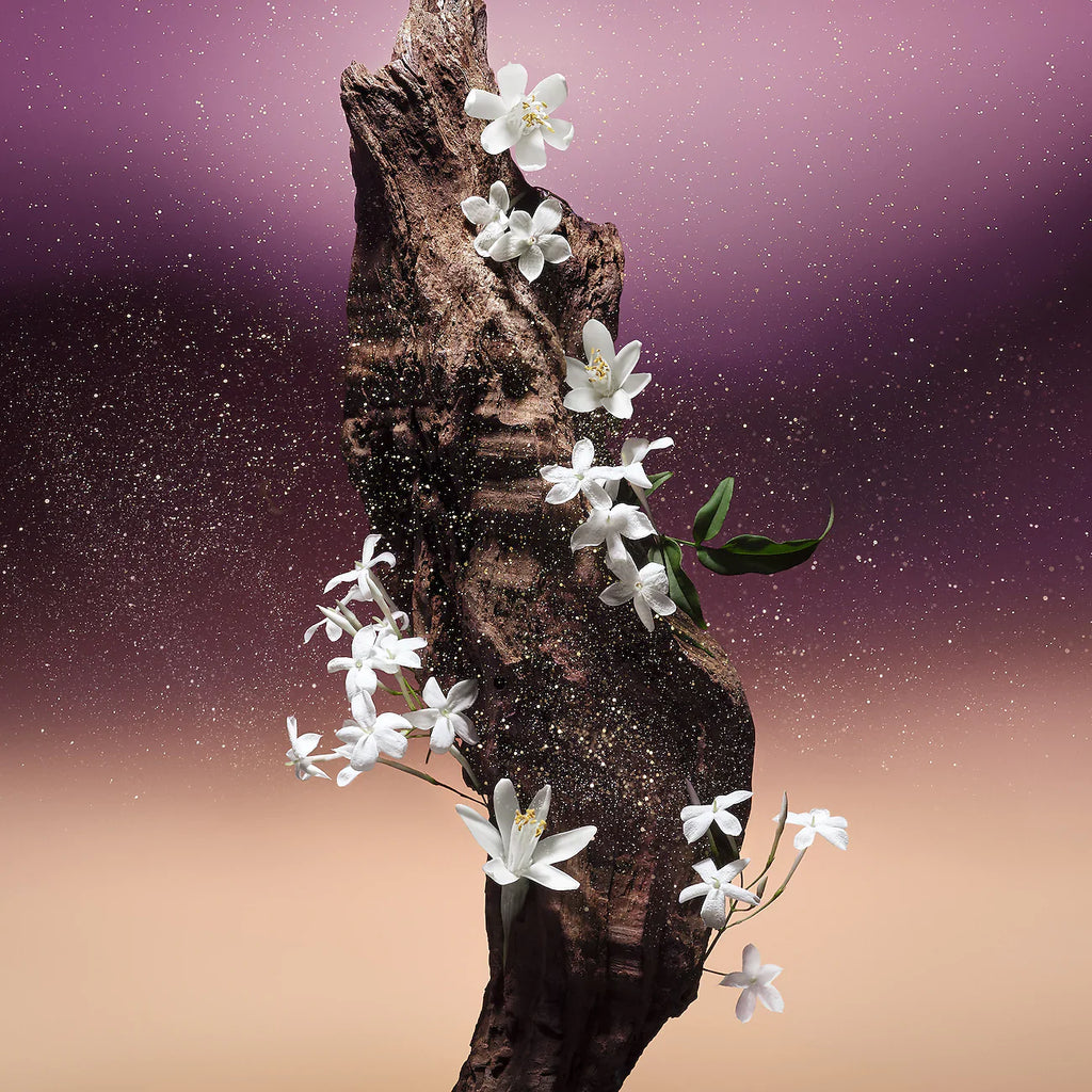 Fleur du Desert