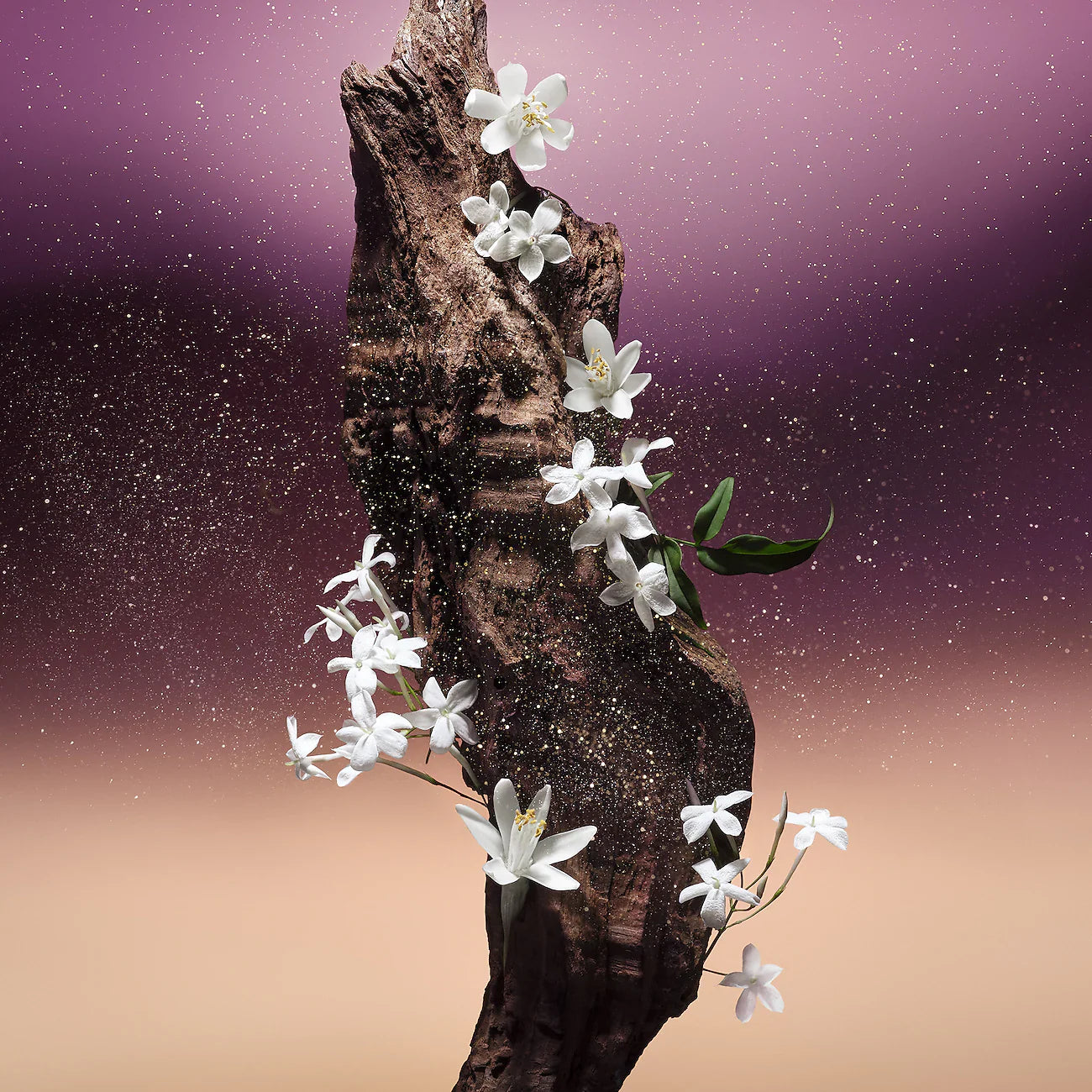 Fleur du Desert