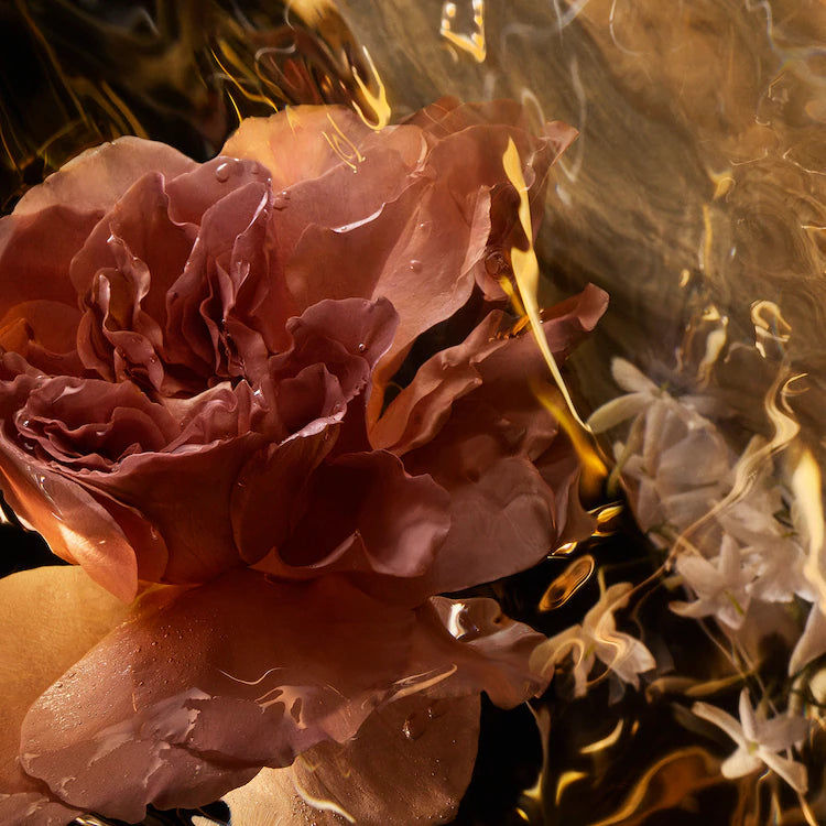 GUERLAIN Absolus Allegoria - Santal Royal - Eau de Parfum