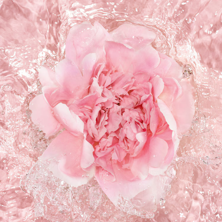 GUERLAIN La Petite Robe Noire - L'Eau Rose Eau de Parfum