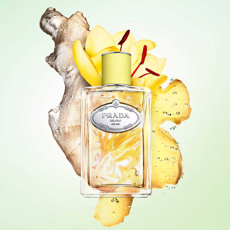 PRADA Infusion de Gingembre - Eau de parfum Vive héspéridée Boisée pour homme et femme