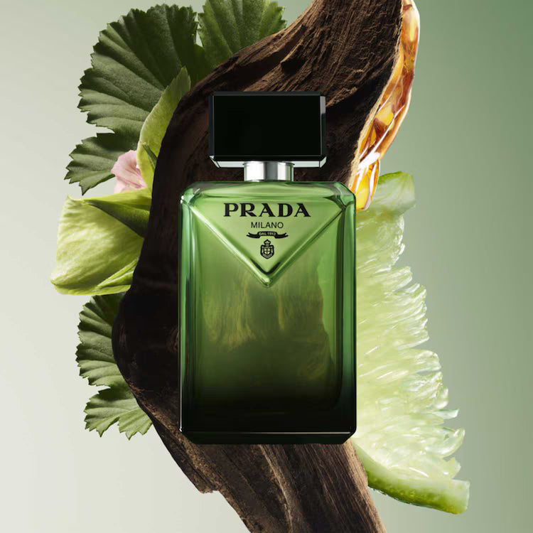 PRADA Paradigme - Eau de Parfum boisée ambrée