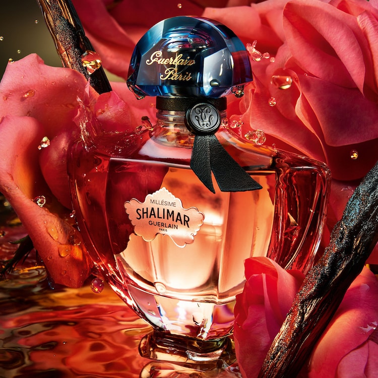 GUERLAIN Shalimar Millésime Rose - Eau de Parfum